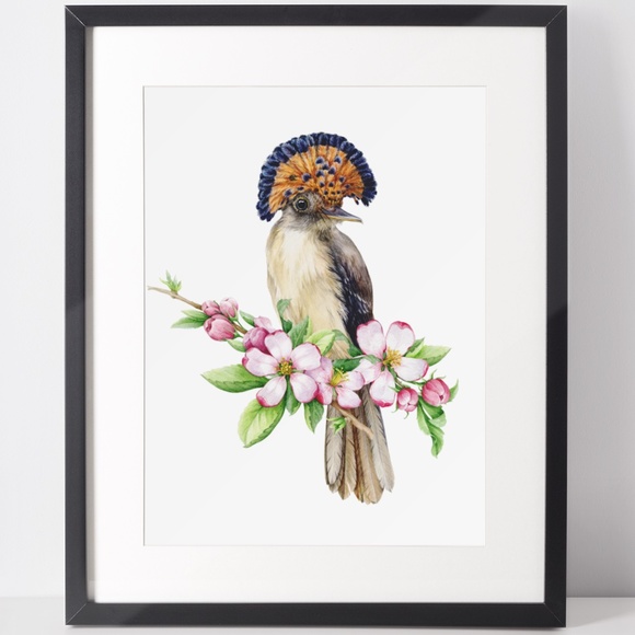 Flycatcher Bird Wall Art Watercolor Illustration Print Poster Card Unframed - Picture 2 of 7
